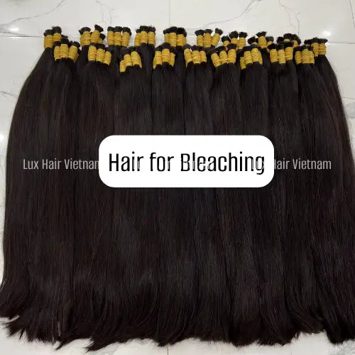 Vietnamese Raw Standard Bulk Hair for Bleaching Lux Hair
