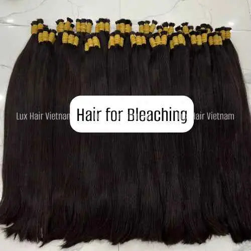 Raw Vietnamese Hair Bulk Hair for Bleaching