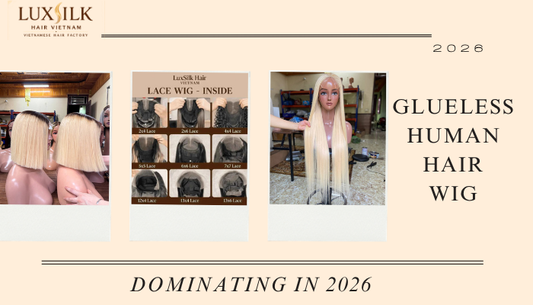 Glueless wigs wholesale from Vietnamese hair factory