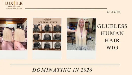 Glueless wigs wholesale from Vietnamese hair factory