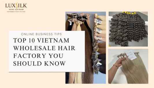 Top 10 Vietnam Wholesale Hair Factory You Should Know