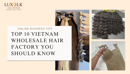 Top 10 Vietnam Wholesale Hair Factory You Should Know