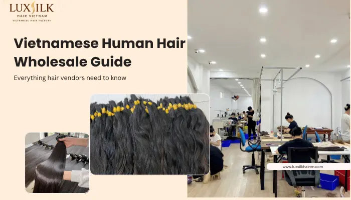 Vietnamese human hair wholesale guide: Everything hair vendor need to know