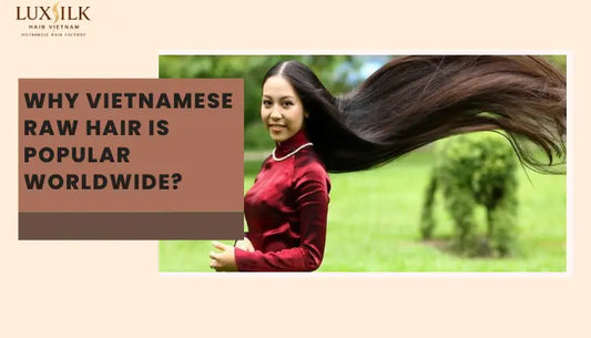Premium Vietnamese raw hair bundles displayed for wholesale buyers.